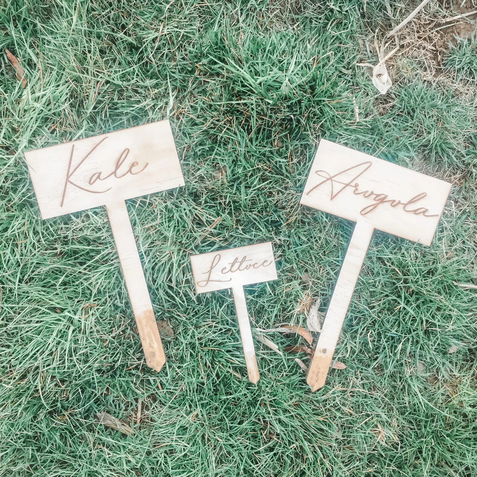 Rectangle Garden Stakes